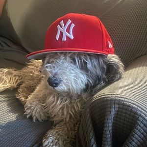 Meet your Posher, Karen